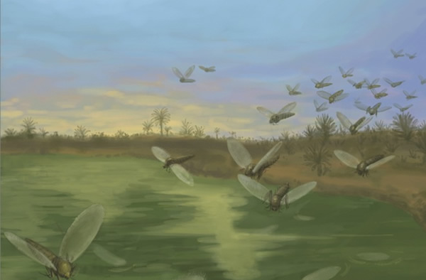 Dinosaur Era insects previously identified as fleas