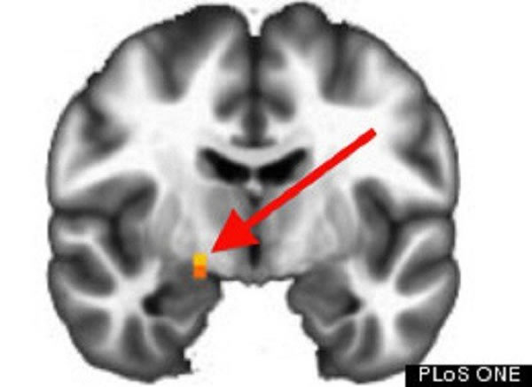 ���͵������Ҳ�����ʺ˱��ֳ����ԵĻ�Ծ��