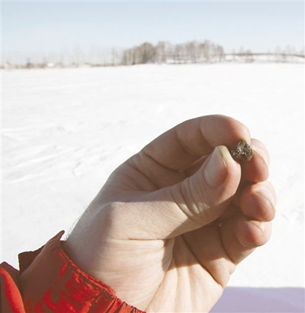 一名科研人员展示在车里雅宾斯克州切巴尔库利湖地区发现的陨石碎片