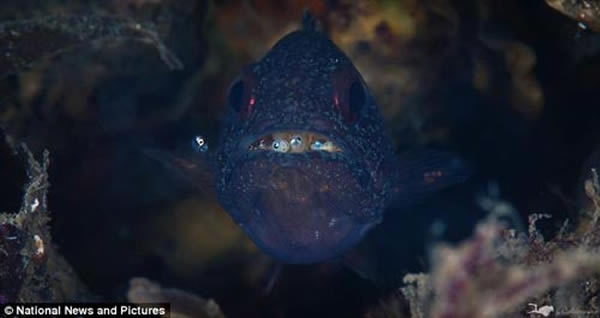 �������ڹ�ȥ5000����Ľ���������һֱ�������ַ�����ʽ