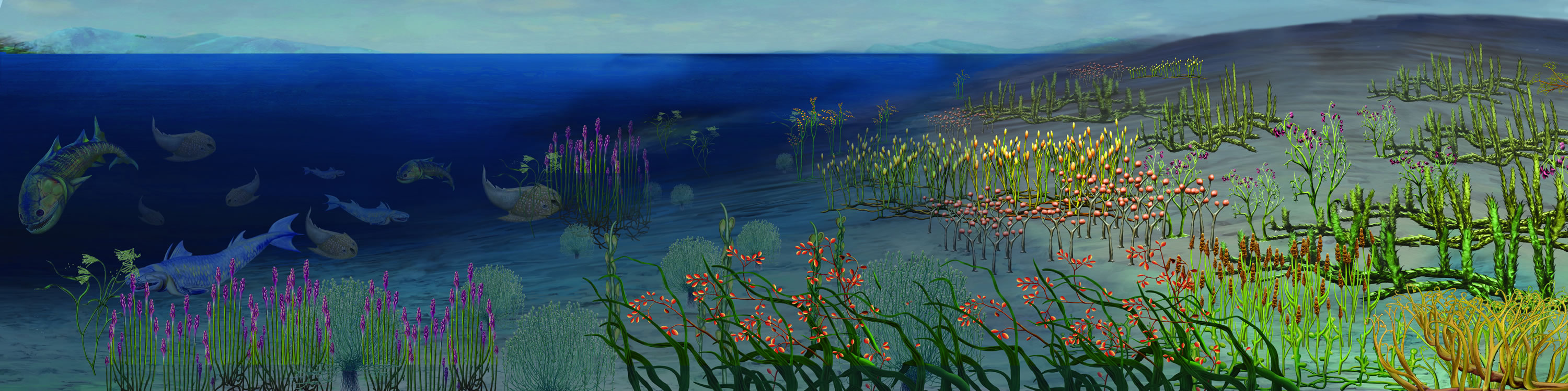 ־���͡�����������ά��ֲ���½