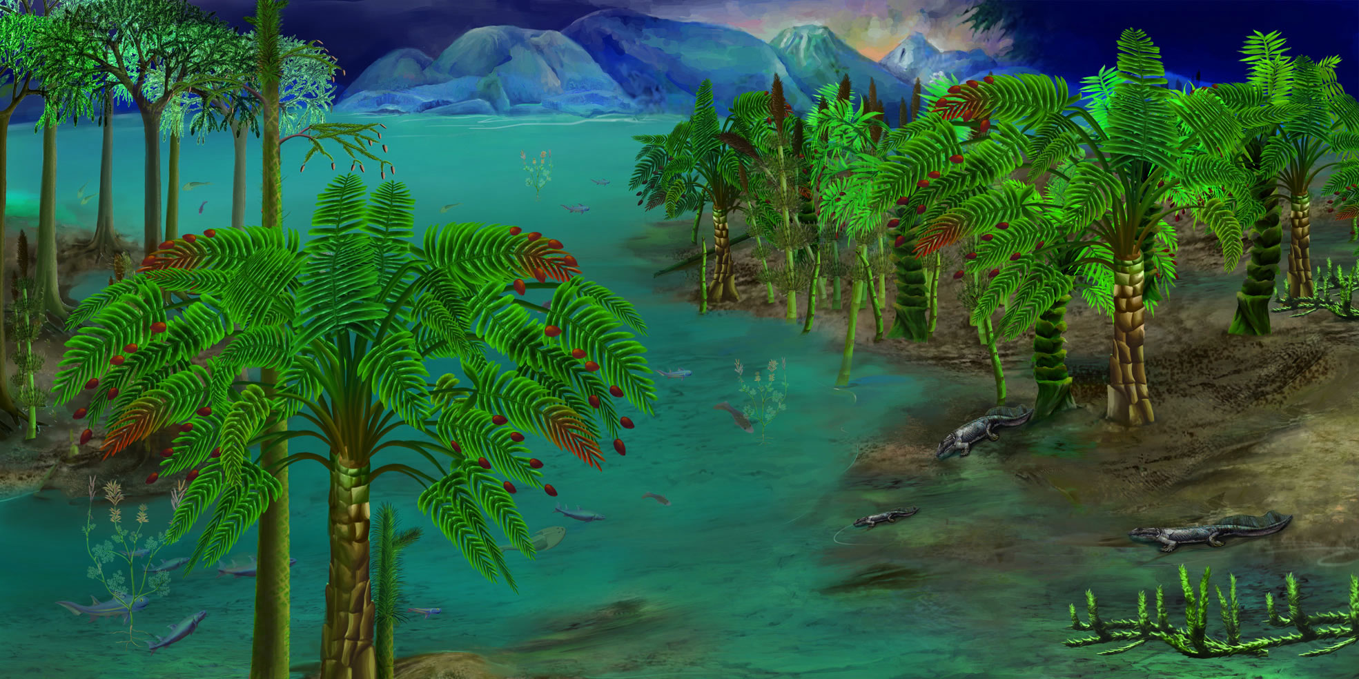 ����������׵�����½