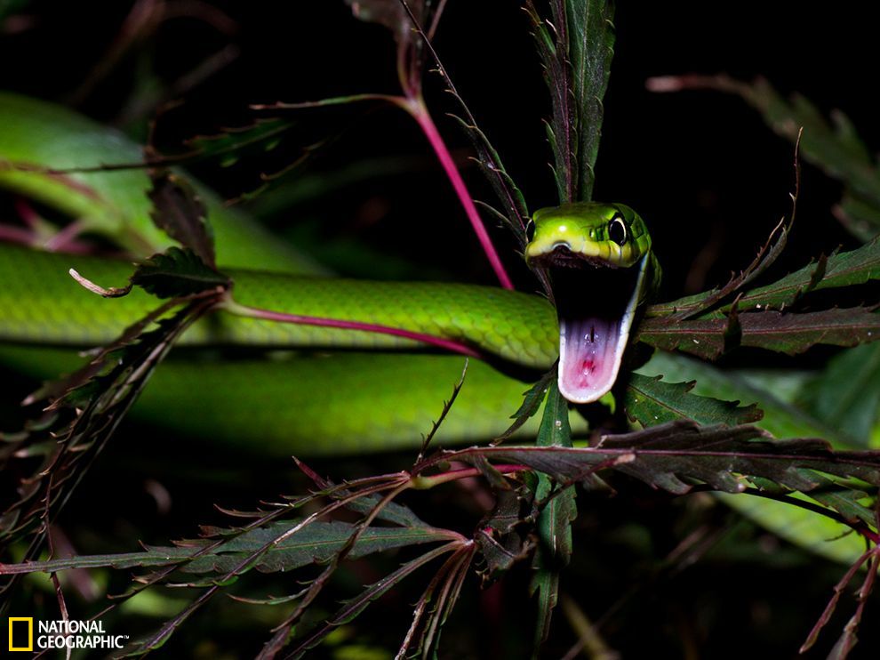 �������ߴ��Ƿ