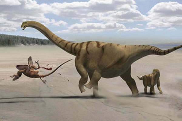 Plant-eating dinosaurs called sauropods had the longest necks in the animal king