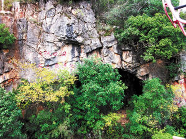 ���������ſڶ�30����ǰ��������