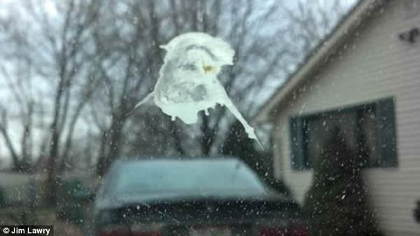 �������粣����һ���������Ү����