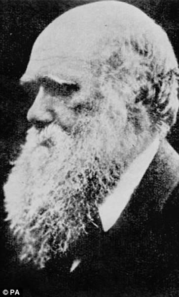 自然主义者查尔斯·达尔文(Charles Darwin)怀疑鸟类歌唱“可能产生了各种复杂情绪的文字表达”。