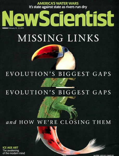 盖志琨博士的盔甲鱼研究入选美国《新科学家》