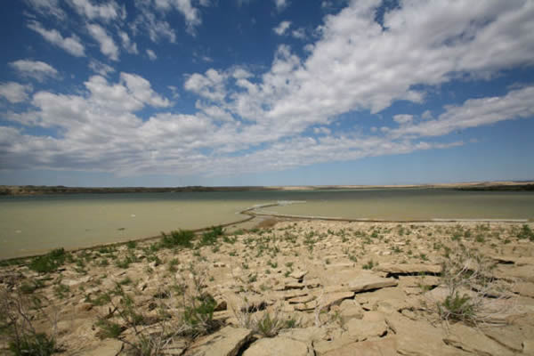 魔鬼城地区化石点