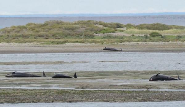 45ͷ��ꪾ������������׺�Ͽ��ǳ