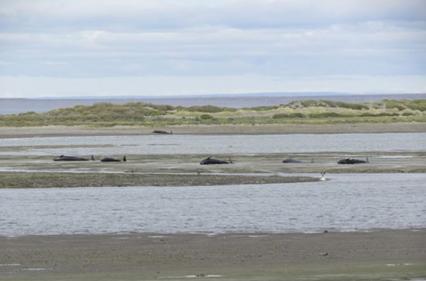 45ͷ��ꪾ������������׺�Ͽ��ǳ