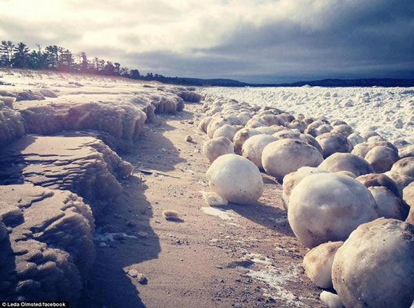 ������Ъ�����������������ٸ����ͱ���