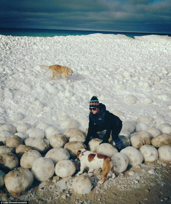 ������Ъ�����������������ٸ����ͱ���