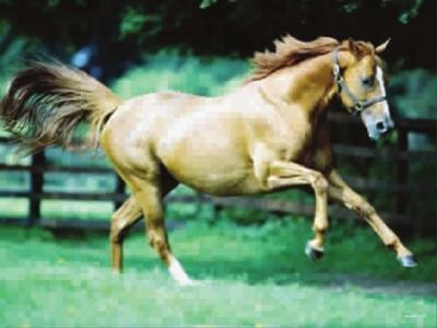 1.8亿年前早侏罗世气候灾难或将重演 - 神秘的