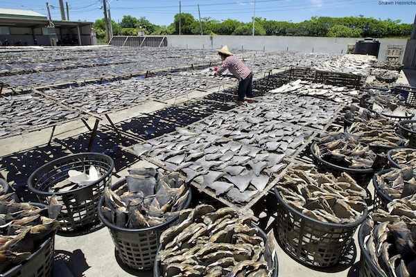 Photo by Shawn Heinrichs / Pew Environment Group