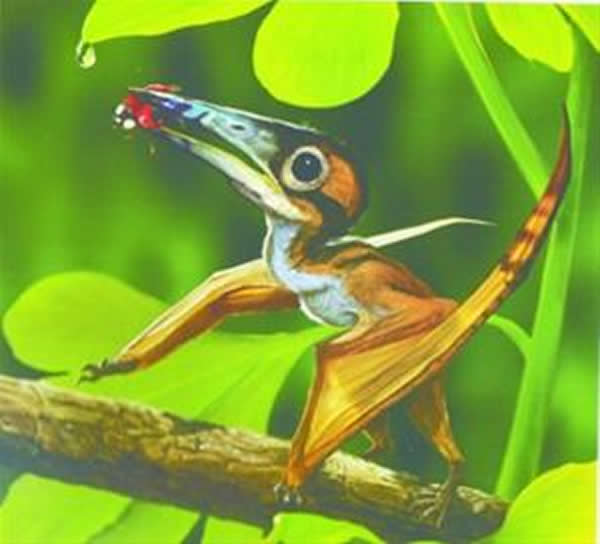 ����ɭ������