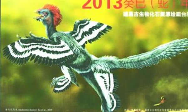 ���Ͻ�������ԭͼ