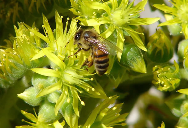 ��������������ķ���Ⱥ