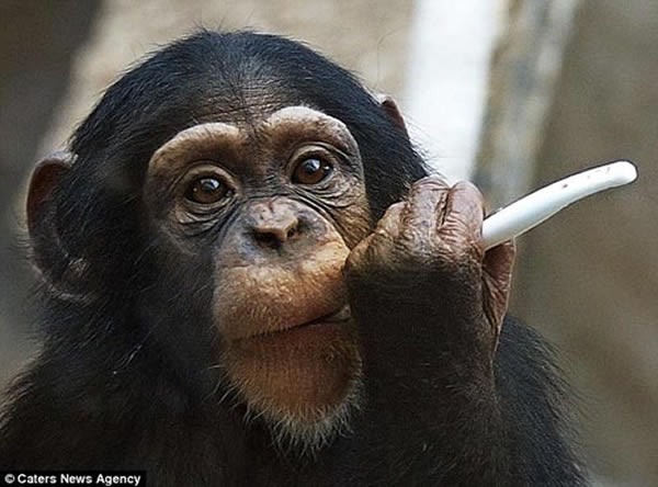 ����԰С����ѧ����ˢ��