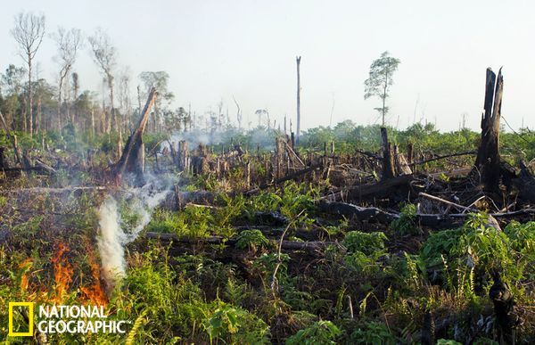 �������Ŵ�������