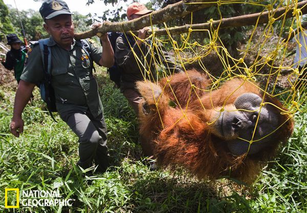 ���ɡ������