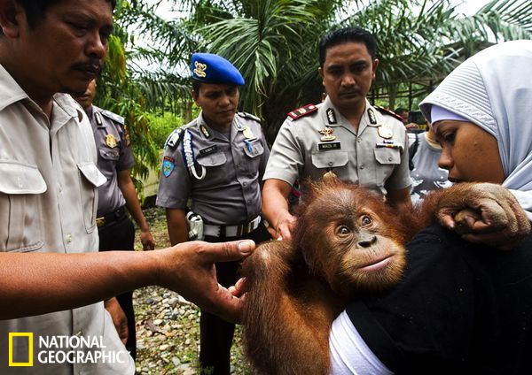 �������Ŵ�������