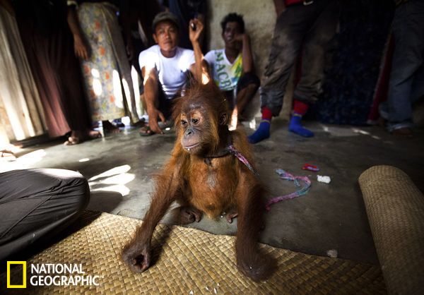 �������Ŵ�������