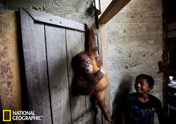 �������Ŵ�������