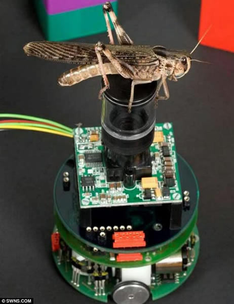 ��ѧ���ܻȳ淴��ײϵͳ������������һ�������õ���ײ������