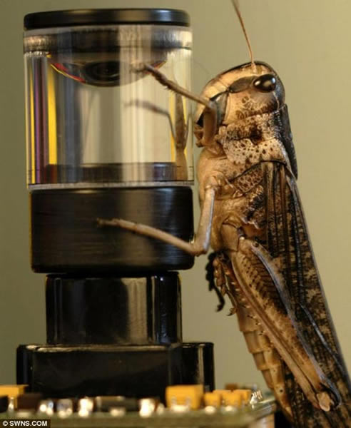 ����ײ�������ǿ�ѧ���ܡ��ȳ���Դ������źźͻ�ѧ�źŵĶ��ط�ʽ��������������