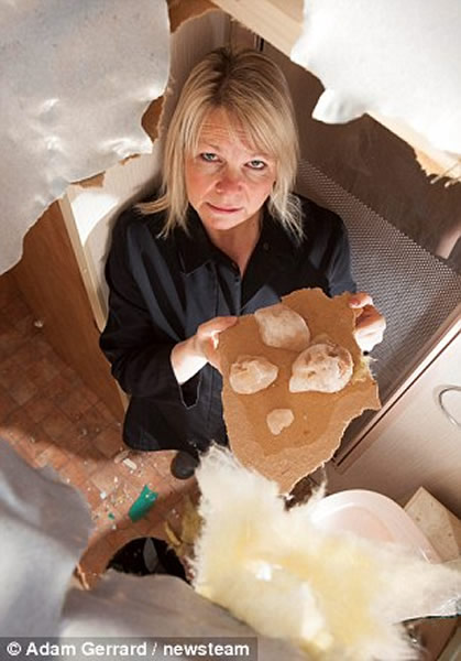 �ɻ��˿���й�����������÷���