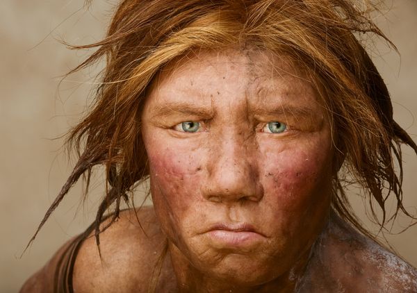 A reconstruction of a Neanderthal female.