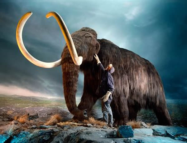 mammoth