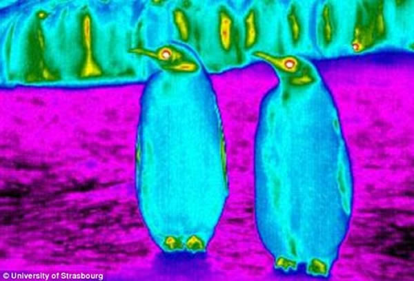 ȳʾϼ¶ȱΧ¶ȻҪͣ