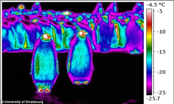 ϼֻ۾ͺͽƲֵ¶ȱΧĻҪߡ