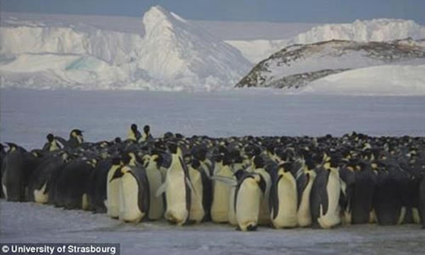 󿼷ϲʿһȳоۼһνԼ