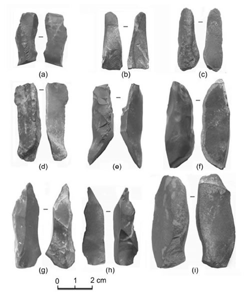 野牛沟细石器地点I 采集的石叶和石片