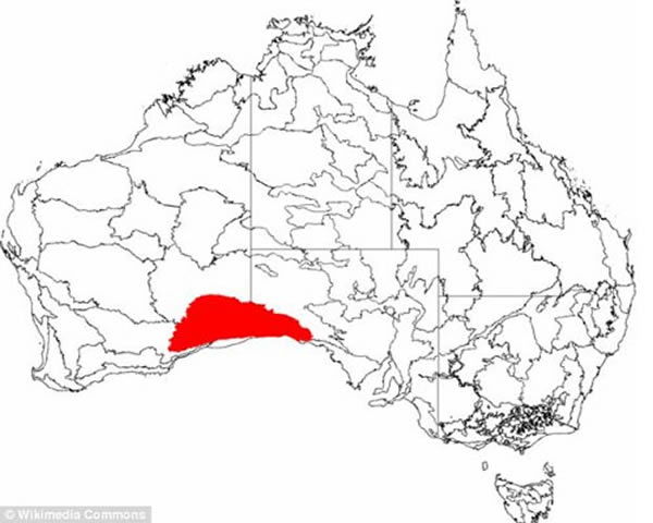 ͼ�к�ɫ������������ƽԭ�������Ե��¶�Ѩϵͳ������