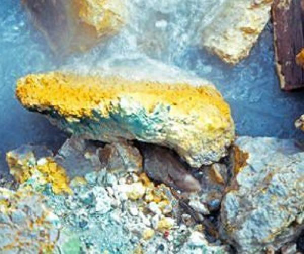 黄石公园内发现的耐高温强酸环境生物被喻为异形,生存方式与其他真核生物截然不同