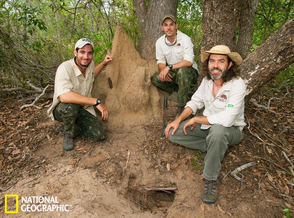 三位研究人员在2010年进行了对大犰狳的首次长期研究