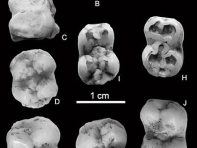 谷歌地图显示澳大利亚悉尼上空的UFO