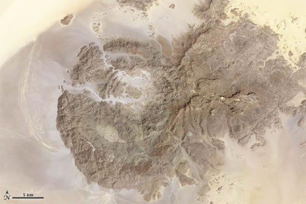 �������Ƭ�У�ֲ����ʾΪ��ɫ����¶�ĵ������ʯ��ʾΪ����ɫ������ֲ��ϡ�裬��������������¶����ʯ�������������Ƭ����������Ȼɫ��Ƭ�ǳ����ơ�