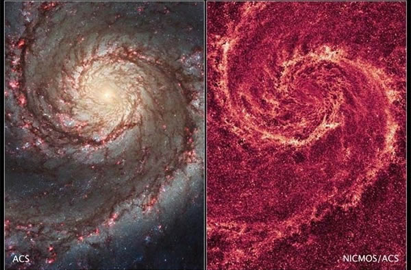 �������ں�����Χ���ܽ��조��ɭ���塱