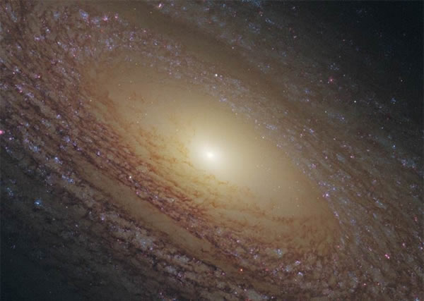 �ǻ������˿��ܲ�ϣ����̽�⵽