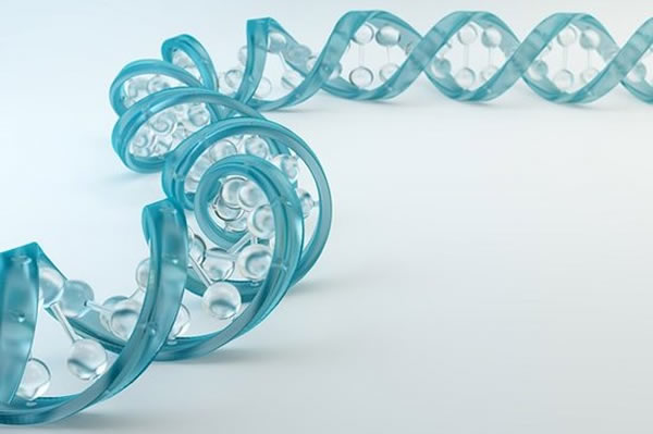 �Ŵ�ѧ�������о����֣�һ���˵�Ⱦɫ�����Խ������������Խ����