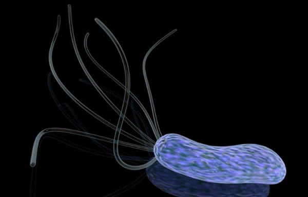 地球最初生命的想象图