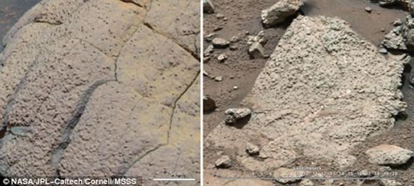 左图是机遇号火星车勘测的岩石样本,右图是好奇号火星车勘测的不同类型岩石样本,后者样本是在加勒陨坑黄刀湾地区采集的,包含着构成生命的至关重要化学成分