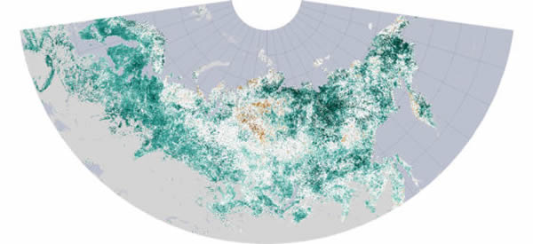 �������Һ��պ���ֵ���۲�վ���չ�����һ�����ǲ���ͼ��չʾ�˼�����������ʮ���е�ֲ���仯��