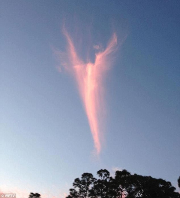 ���������������ճ��ֺ�ɫ����ʹ�·����Ʋ�