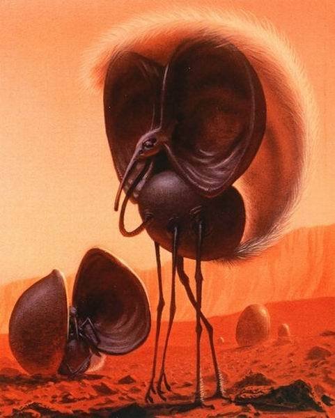 �ƻ�С˵�Ҳ�������Ļ�������